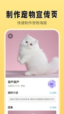 猫老板app 2.6.5 安卓版