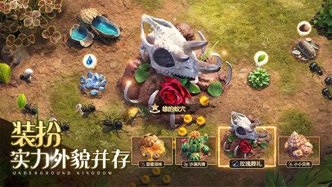 小小蚁国bilbili版 1.41.0 安卓版