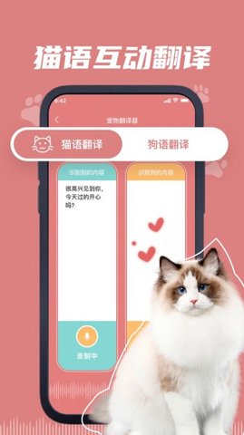 汤姆影视剧情App 5.1.1 安卓版